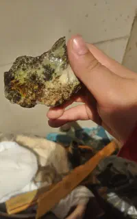 سنگ تزئینی شجر