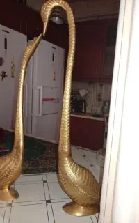 قو در حد نو