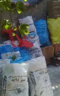ضایعات