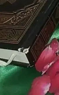 سرکتاب