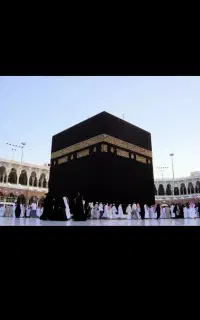 مداح خانم