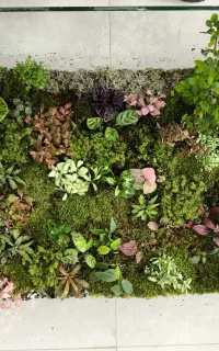 میز شیشه ای