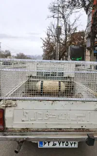 وانت کرایه ای تمام نقاط شهر