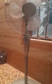 پنکه ایستاده