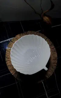 ظروف چینی وسرامیکی