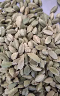 محصولات خراسان رضوی زعفران
