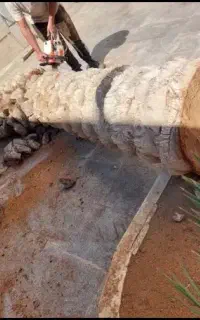 بریدن نخل ودرخت هرس کردن سمپاشی لقاح نخل