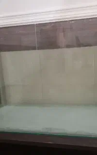اکواریوم