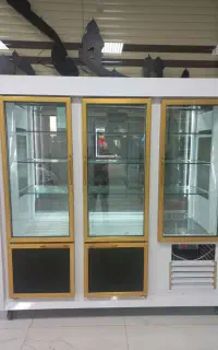 یخچال ویترینی