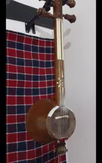 کمانچه حرفه ای مراحمی