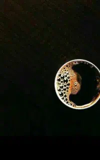 اموزش فال قهوه