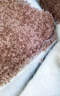 موکت پالاز ۹ متری و۶ متری دوچرخه ۱۶