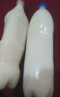 روغن‌گوسفند‌سرحدی