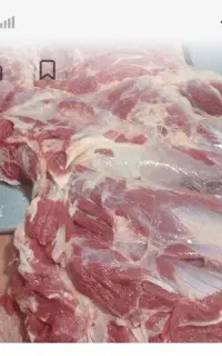 دنبال کار قصابی و مرغ فروشی هستم