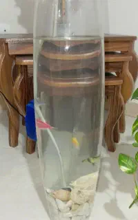 شیشه اکواریوم