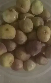 انجیر