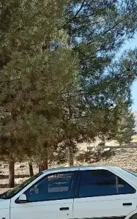 خودرو دربستی