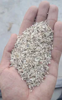 ضایعات برنج