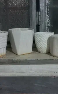 ۴ عدد گلدان سالم