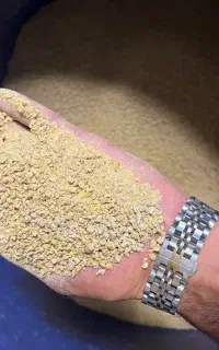 خوراک مرغ گوشتی و بوقلمون