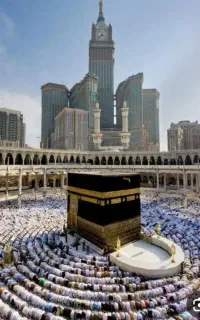 فیش حج واجب