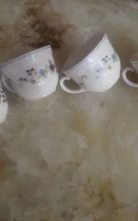 لیوان آرکوپال