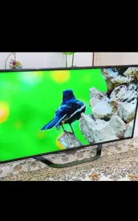 تلوزیون ال ای دی