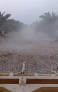 انجام کلیه امور کشاورزی