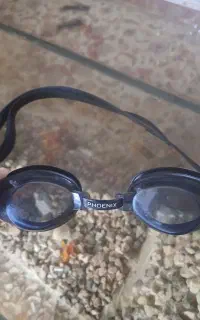 عینک شنا phoenix اصل کره