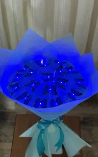 پروانه ای زیبا