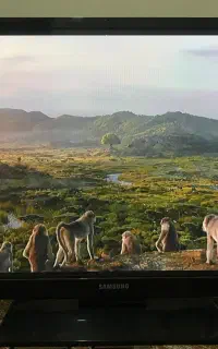 تلویزیون پلاسما ۴۳ سامسونگ