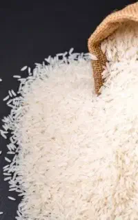 برنج طارم هاشمی برداشت امساله