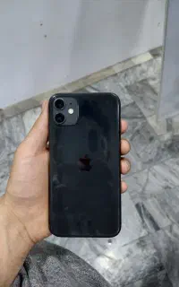 11 normal