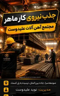 راننده نیسان