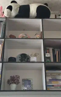باکس/  مناسب بوتیک یا کتابخانه/ سازمان‌دهی لوازم