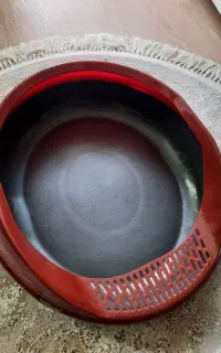 ظرف خاک گربه