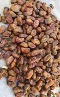 خرمای درجه دو بوشهر
