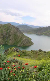 طبیعت