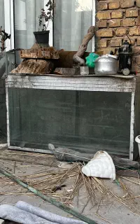 اکواریوم و لابستر ابی