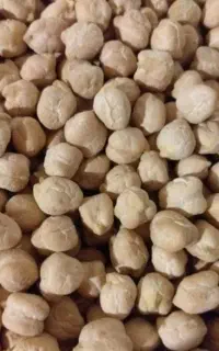 نخود
