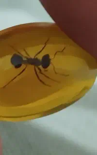 مهره
