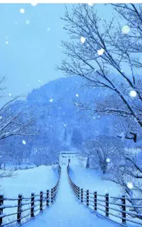 تدریس خصوصی وگروهی زبان انگلیسی توسط دکترای زبان