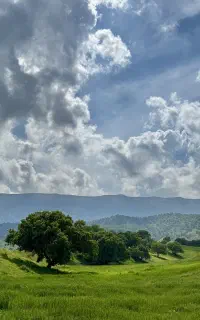 طبیعت نیه،مسافر تاران اوم