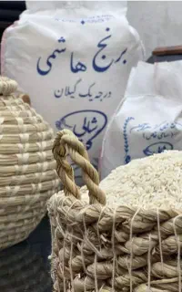 برنج طارم هاشمی درجه۱(همین دیروز از شمال آوردم)