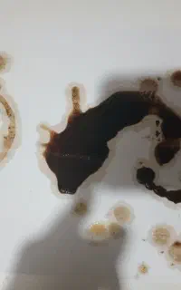 فال قهوه و تاروت