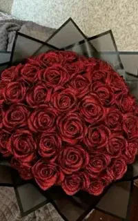 رز روبانی