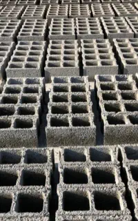 نیازمند بلوک زن