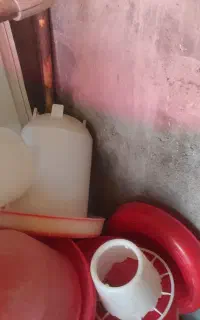 لوازم مورد استفاده پرنده
