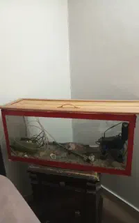 اکواریوم