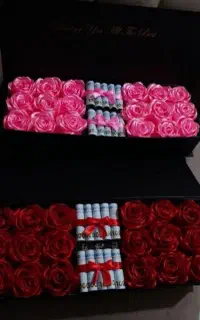 اریایی